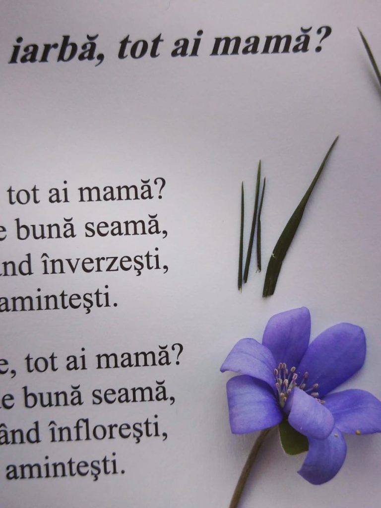 6-04-2025-citatul-de-duminica