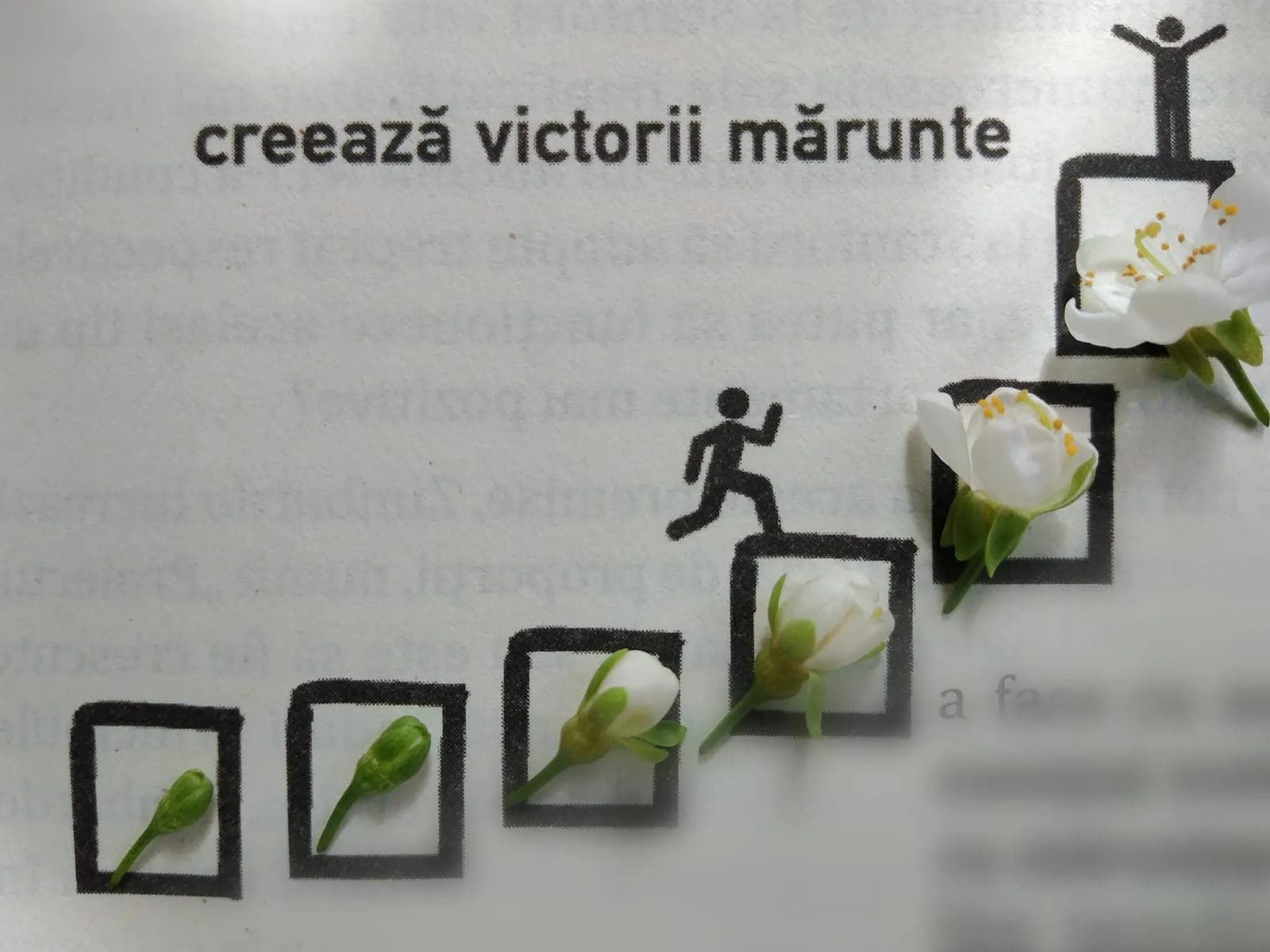 9-07-2023-citat-duminica