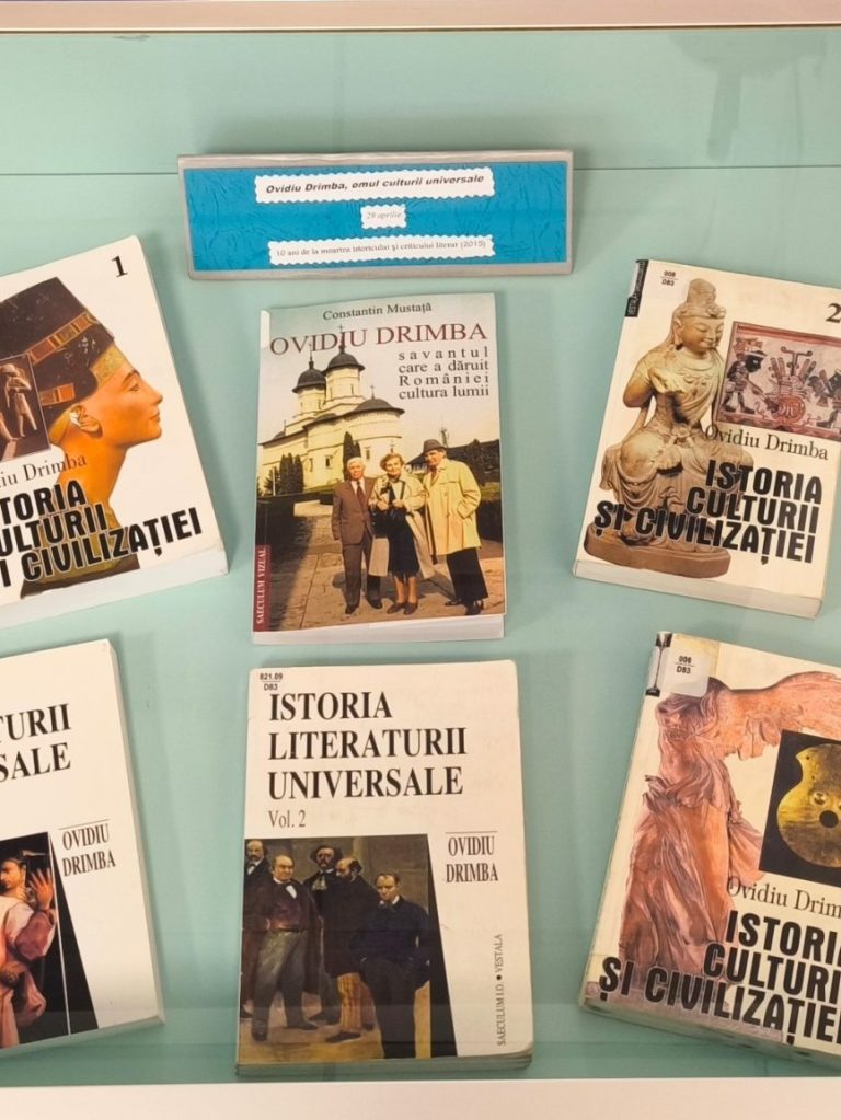 ovidiu-drimba-10-ani-moarte