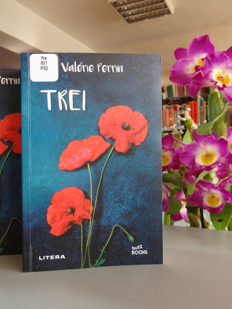 recomandare-lectura-multiculturalia-valerrie-perin