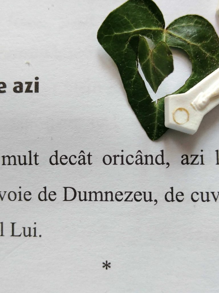 04.06.2023 – Citatul de Duminică a Rusaliilor