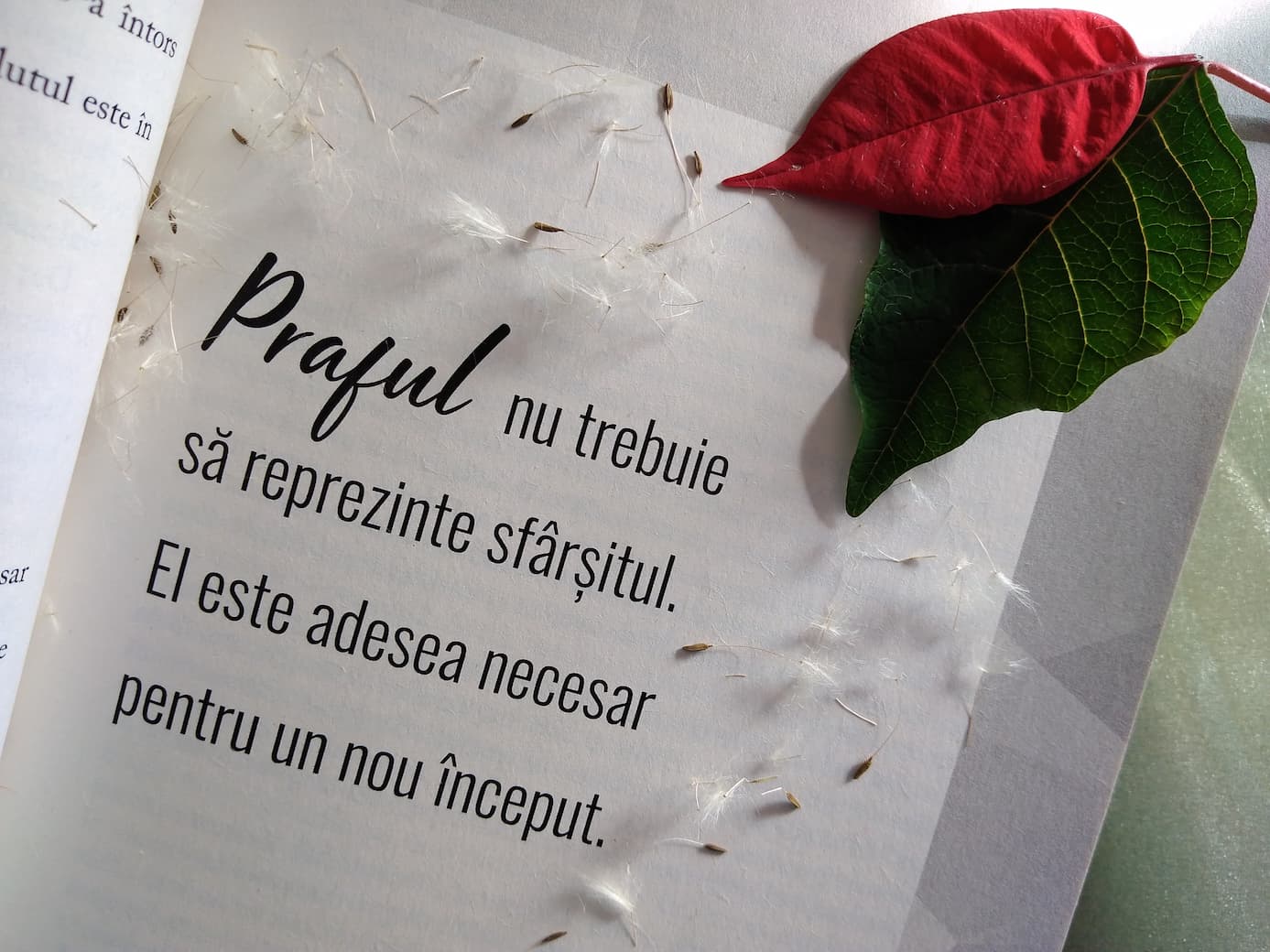 11.12.2022 – Citatul de Duminică – 2