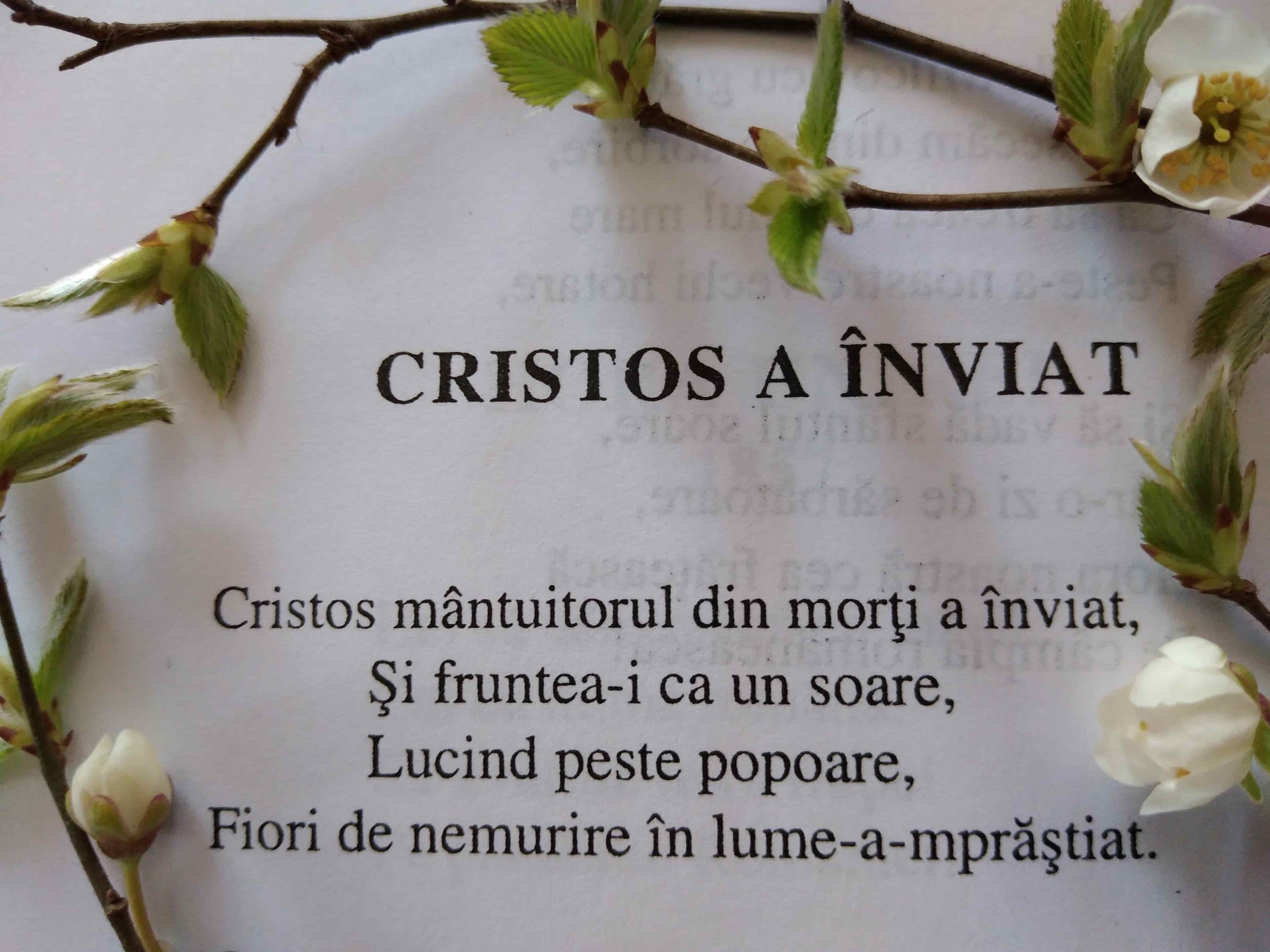 16.04.2023 – Citatul de Duminica Învierii