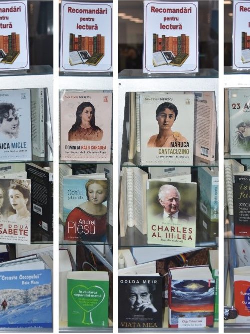 recomandari-lectura-sala-8-05