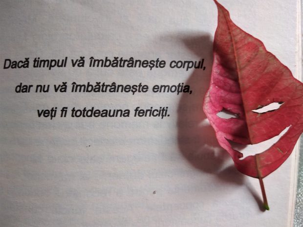 04.12.2022 – Citatul de Duminică