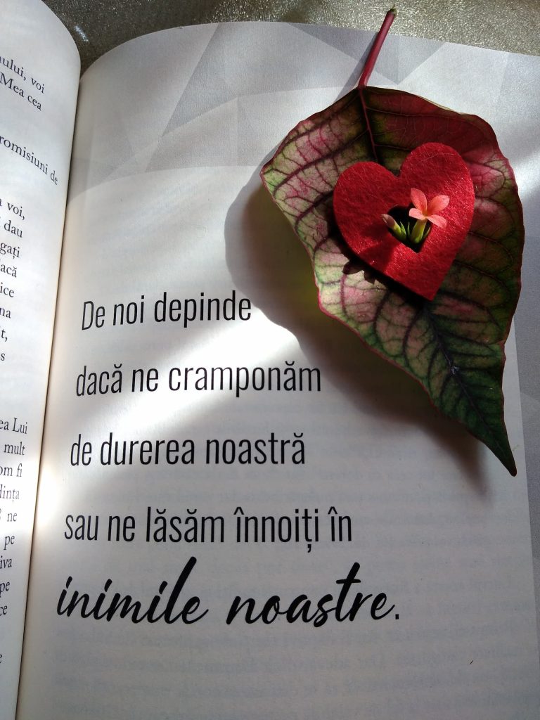 06.11.2022 – Citatul de Duminică