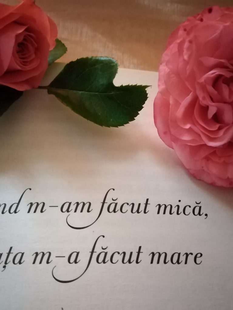 13.11.2022 – Citatul de Duminică