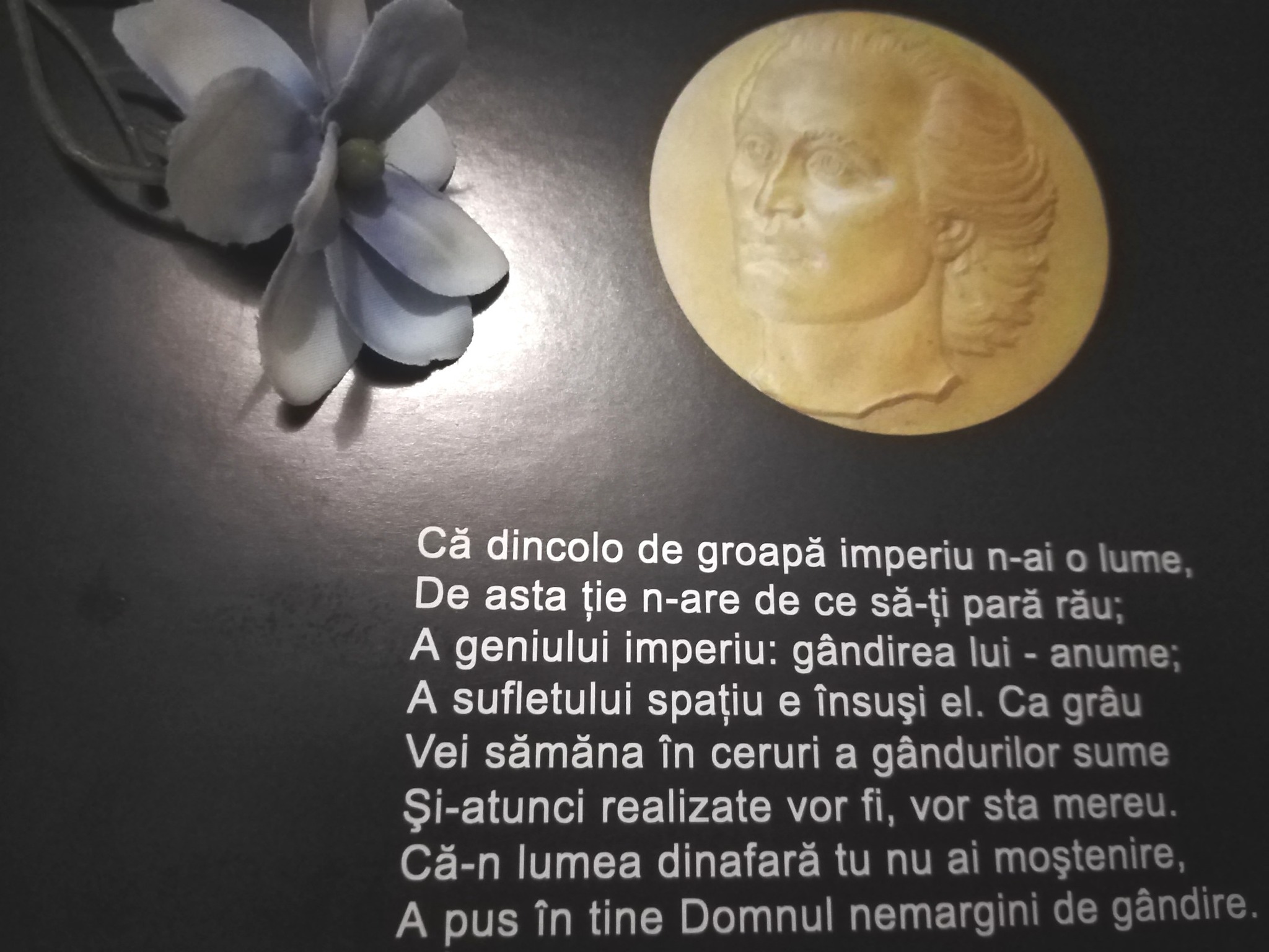 15.06.2025 – Citatul de Duminică