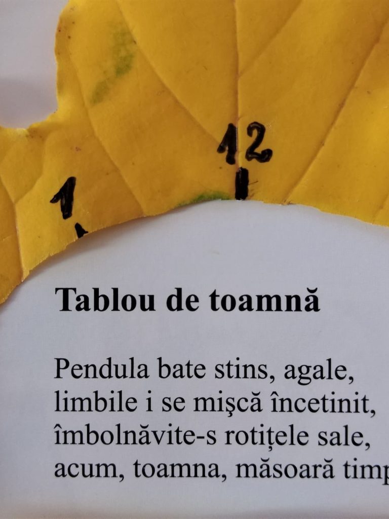 20.11.2022 – Citatul de Duminică