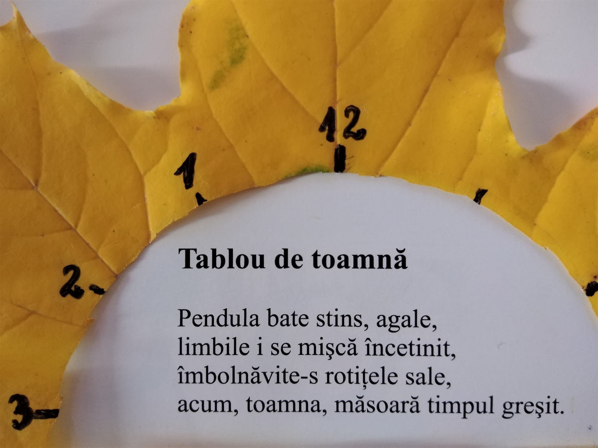 20.11.2022 – Citatul de Duminică