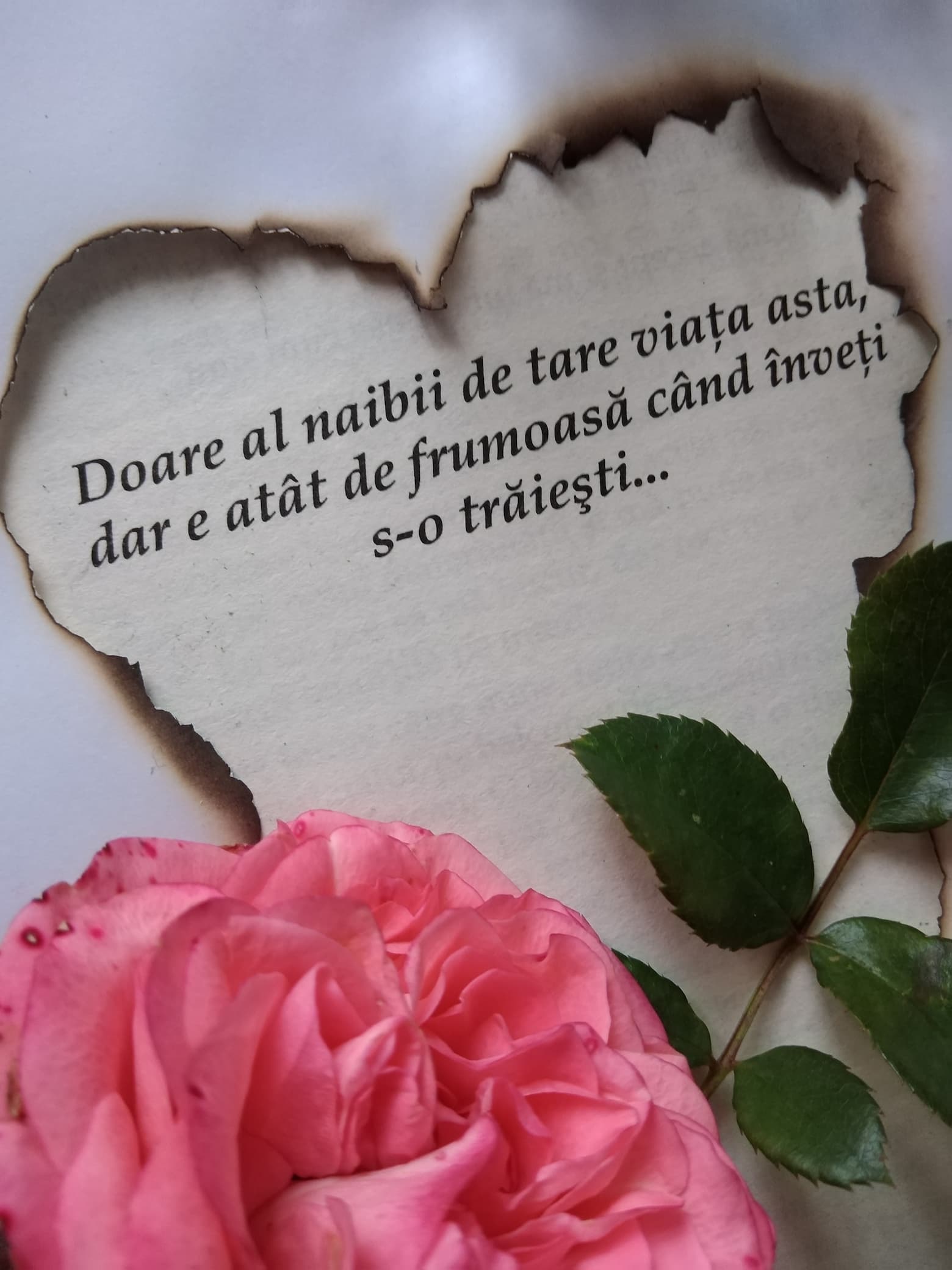 27.11.2022 – Citatul de Duminică