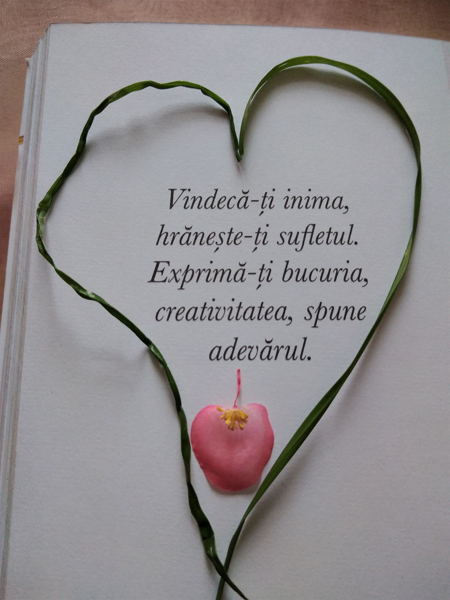 16.10.2022 – Citatul de Duminică