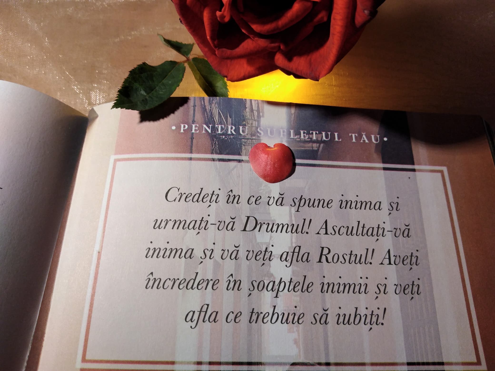 23.10.2022 – Citatul de Duminică