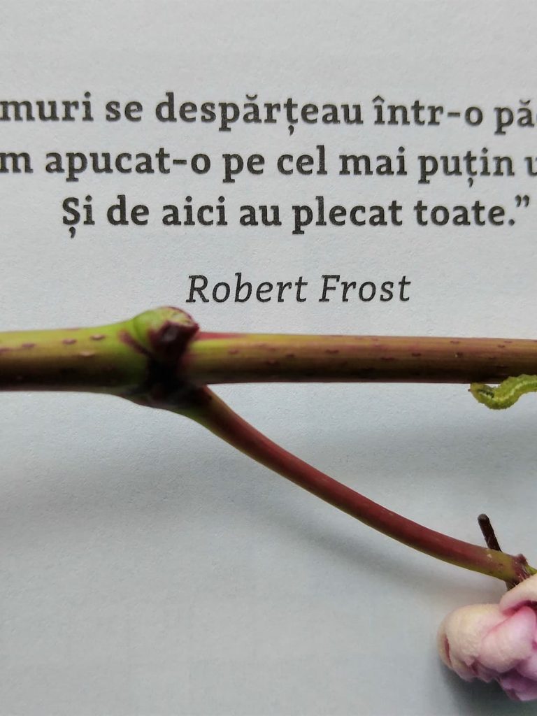 30.10.2022 – Citatul de Duminică