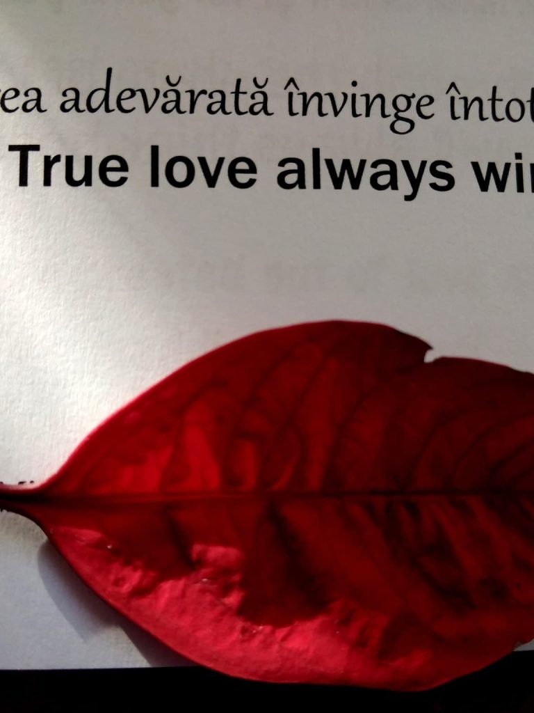 4.07.2026 – citatul de duminica