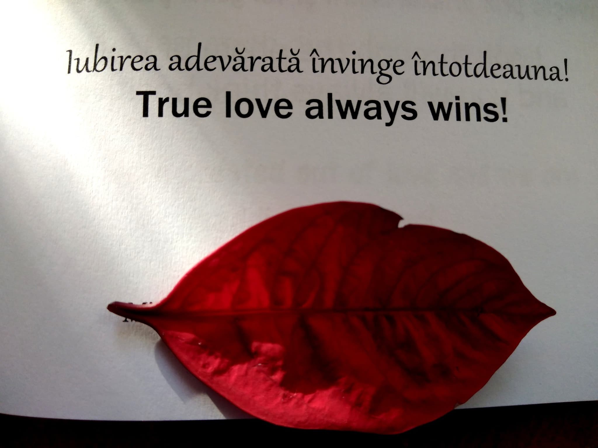 4.07.2026 – citatul de duminica