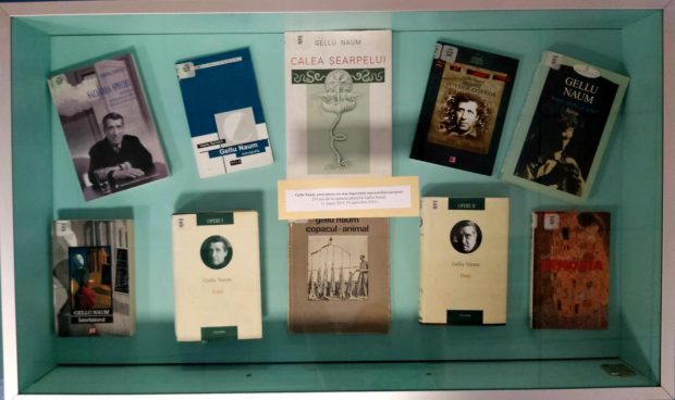 110-ani-gellu-naum-vitrina-adulti