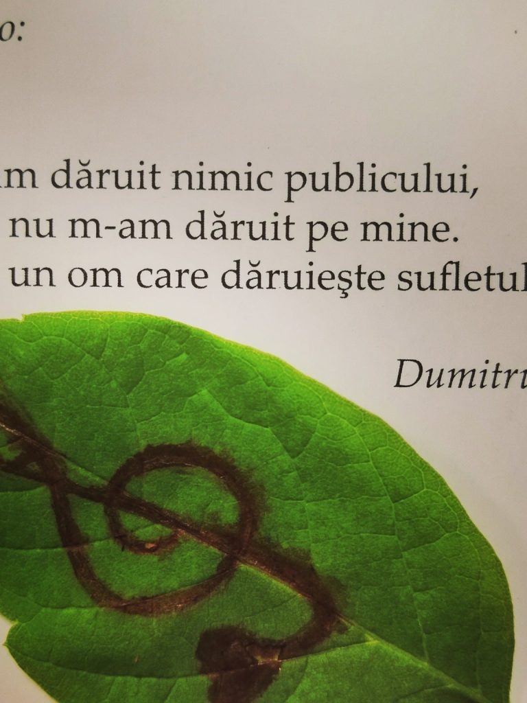 citatul-de-duminica-10-august-2025