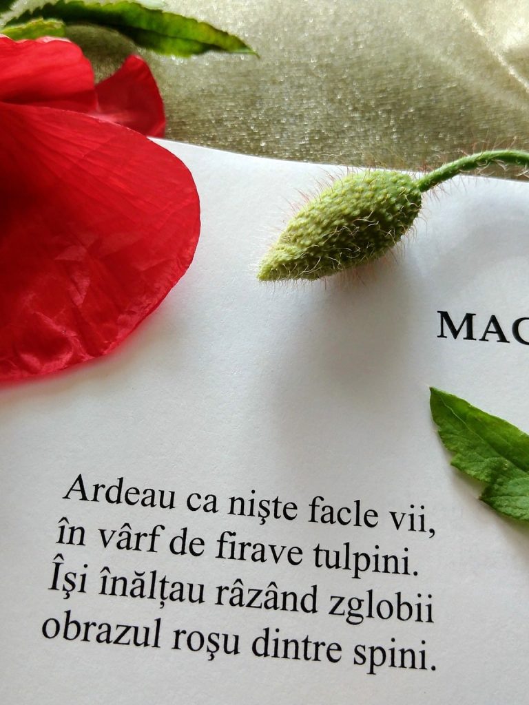 citatul-de-duminica-3-august-2025