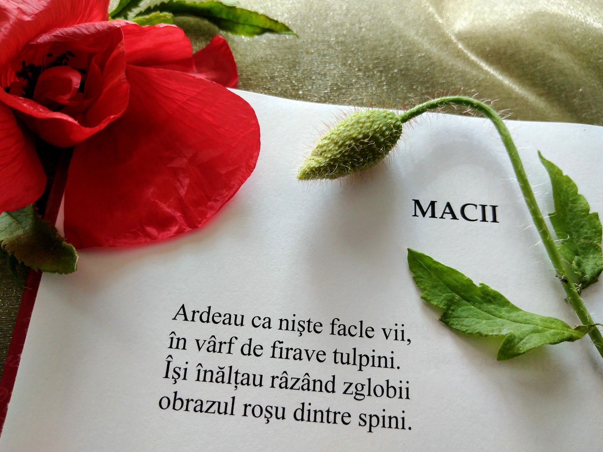 citatul-de-duminica-3-august-2025