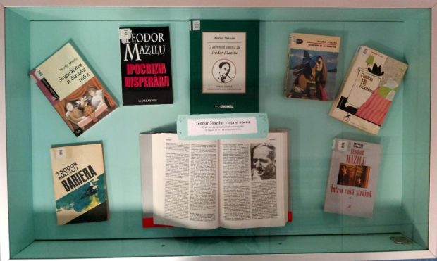 teodor-mazilu-vitrina-adulti