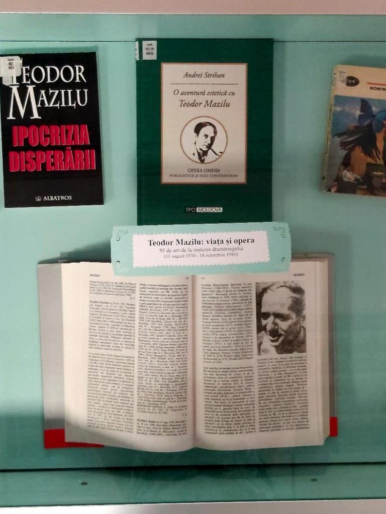 teodor-mazilu-vitrina-adulti
