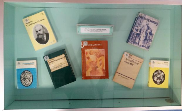 zigu-ornea-vitrina-adulti