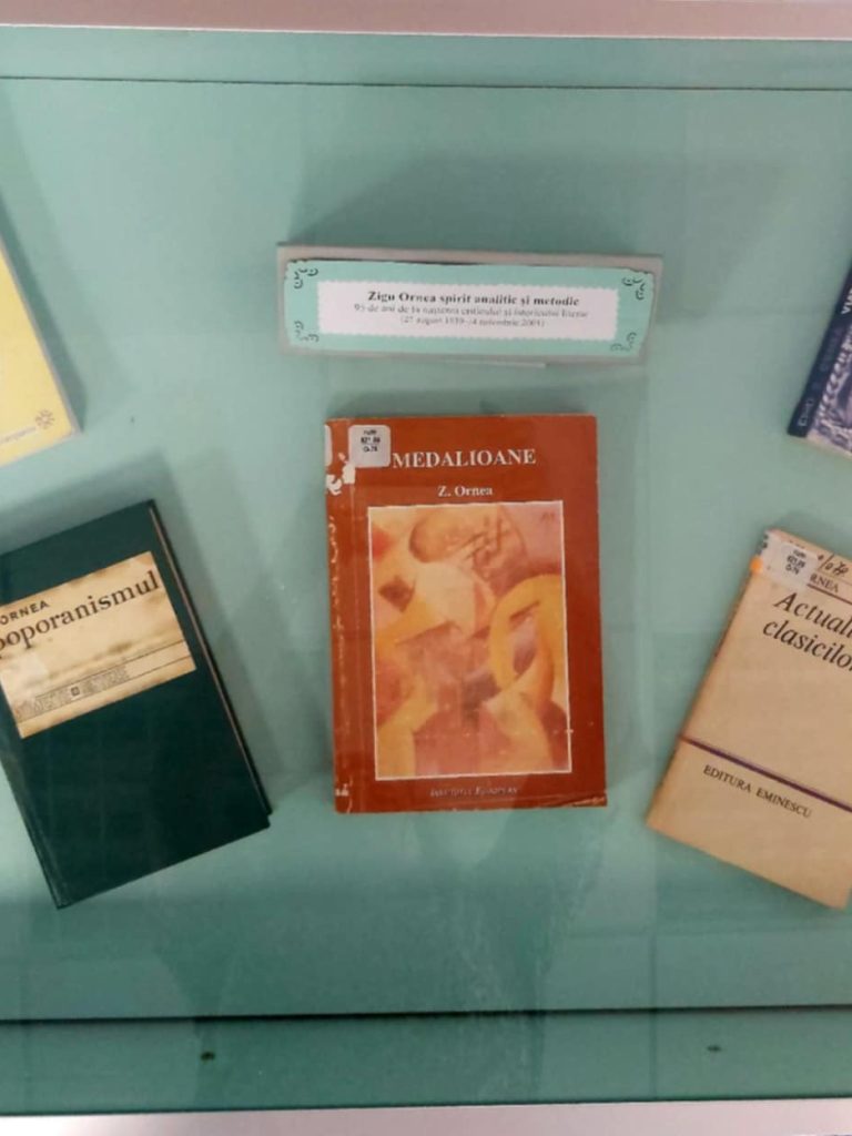 zigu-ornea-vitrina-adulti