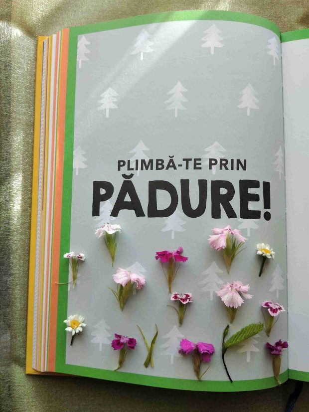 07.08.2022 – Citatul de Duminică