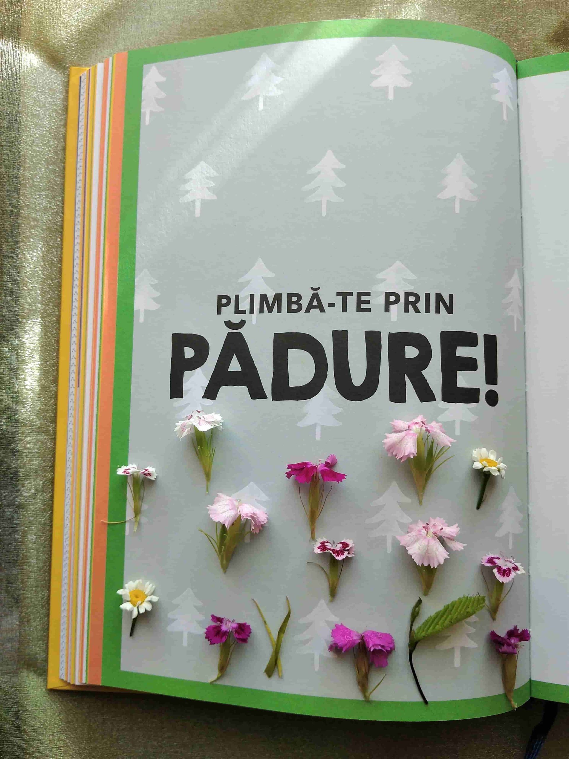 07.08.2022 – Citatul de Duminică