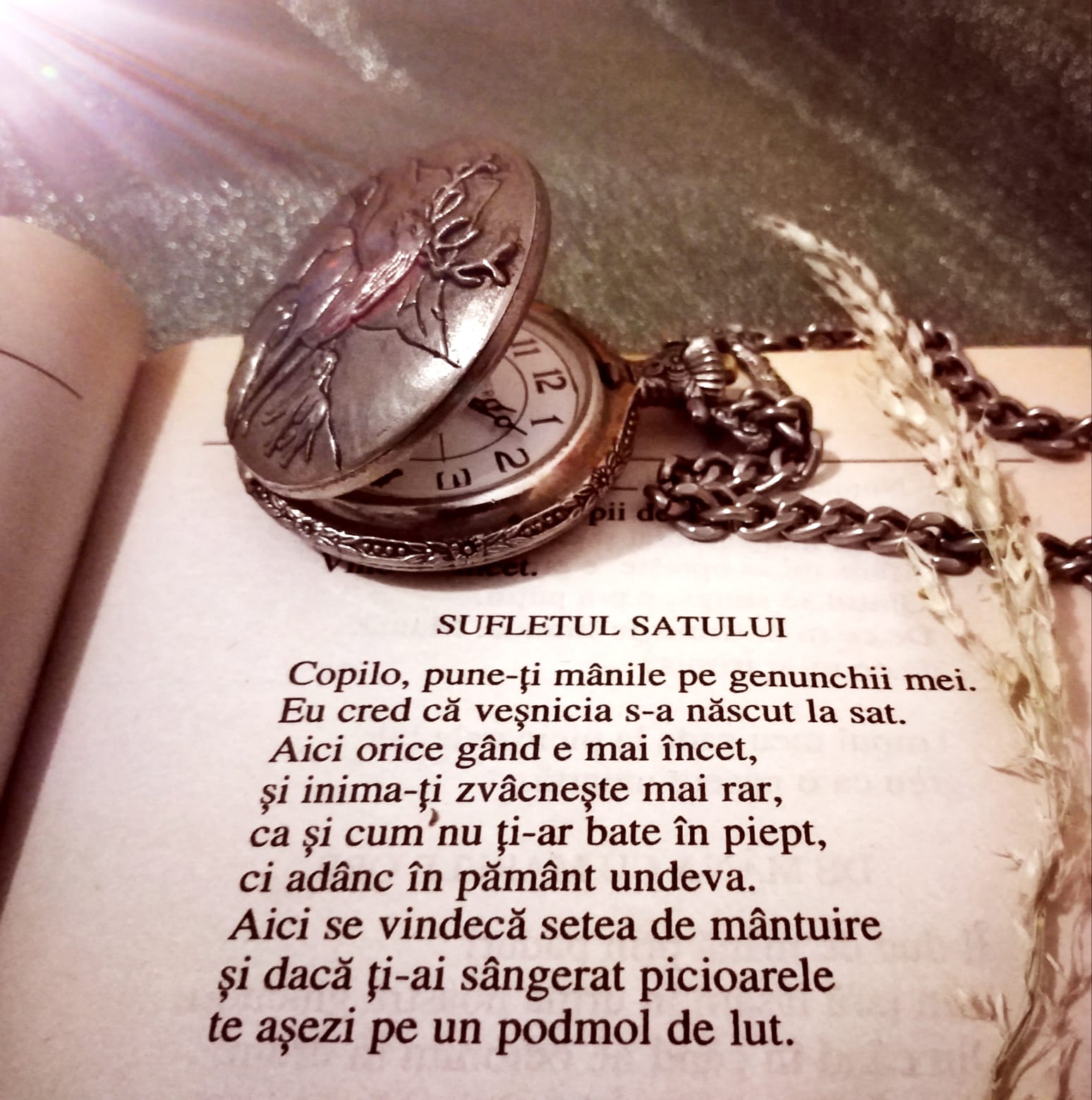 29-09-2025-CITATUL-de-duminica