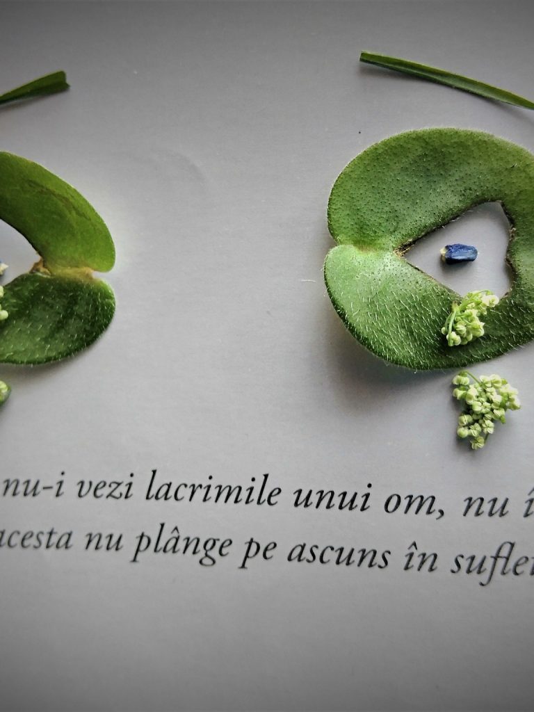 citatul-de-duminica-28-08-2022