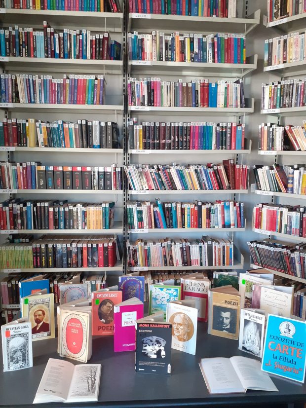 toamna-expo-siugariu-25