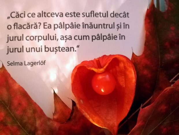 02.11.2025 -Citatul de Duminică