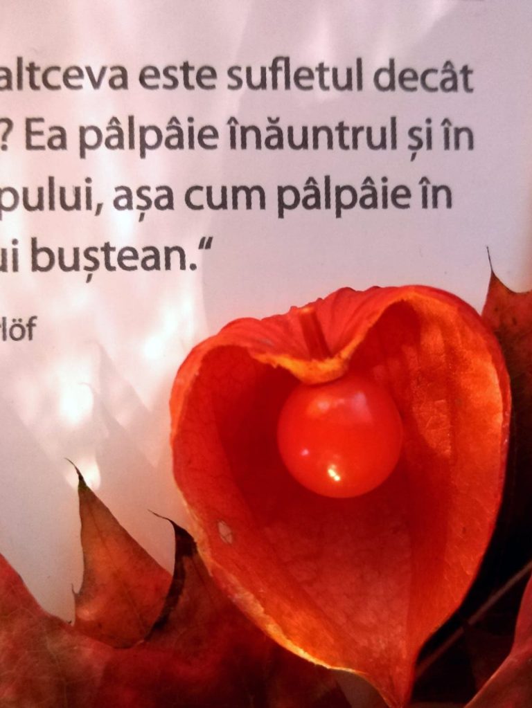 02.11.2025 -Citatul de Duminică