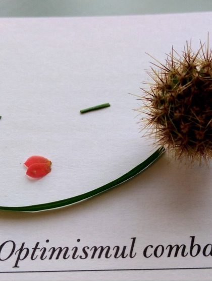 24.07.2022 – Poza 1