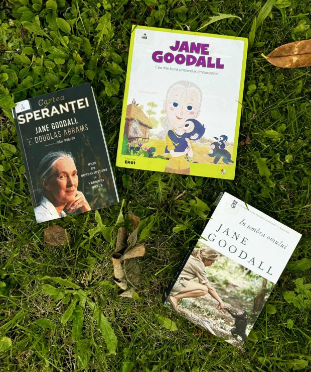 a0784893-c63a-4c3b-933f-cae004409d19