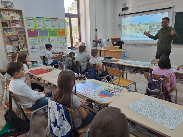 despre-natura-colegiul-arte