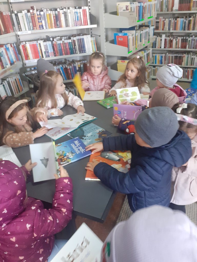 gradinita-floare-de-colt-biblio-10-25