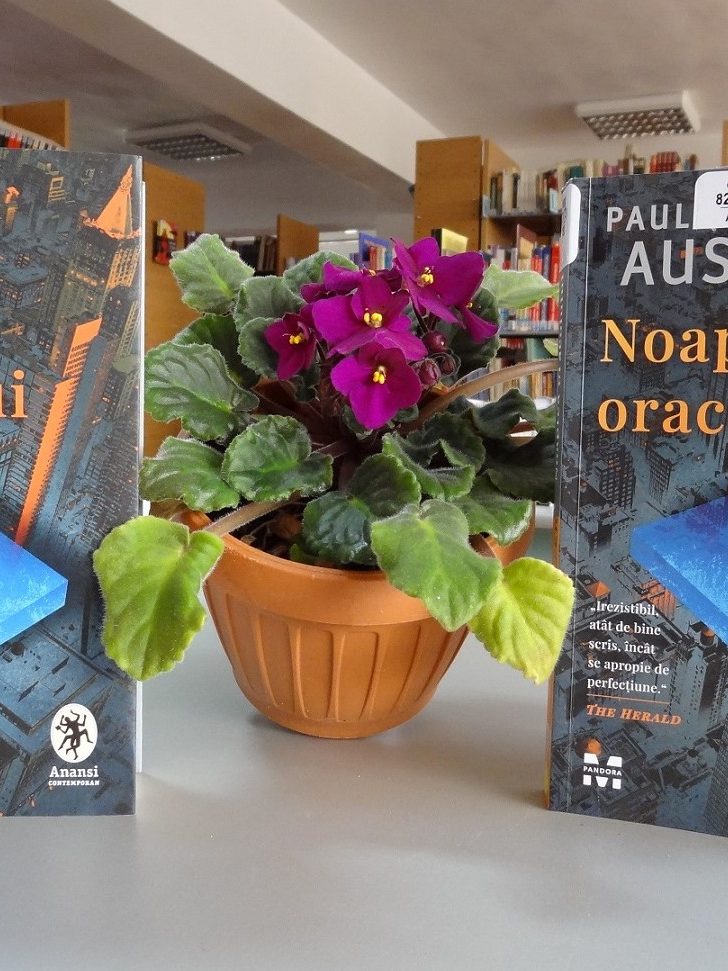 noaptea-oracolului-recomandare-lectura