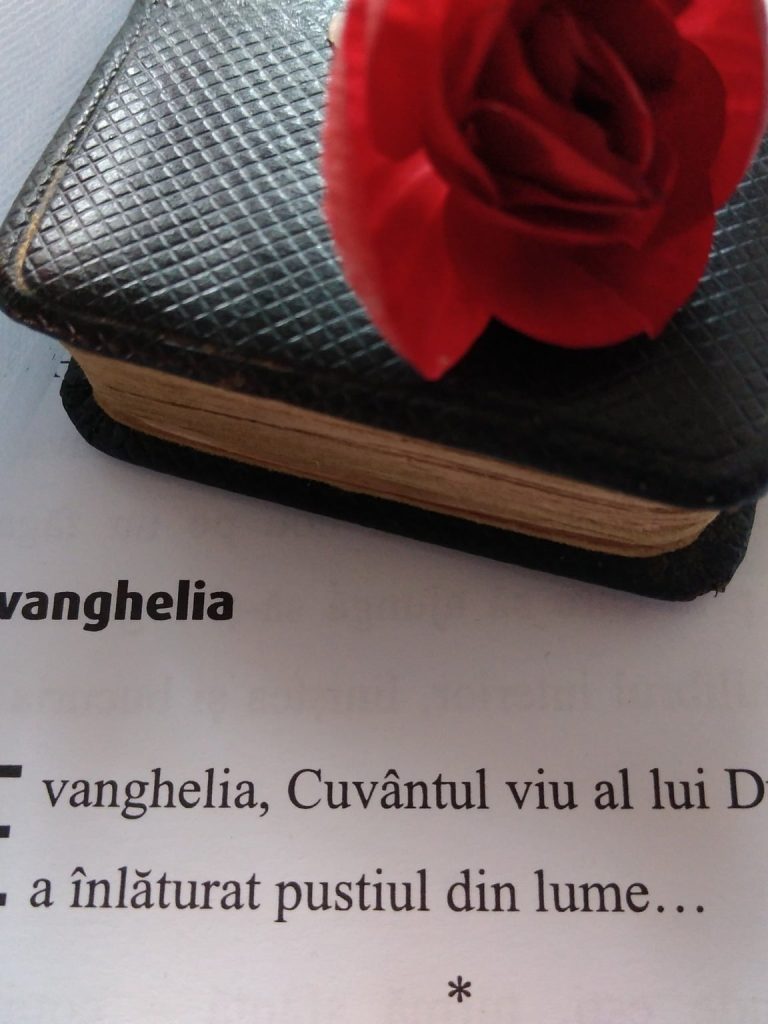 16-11-2025-citatul-de-duminica