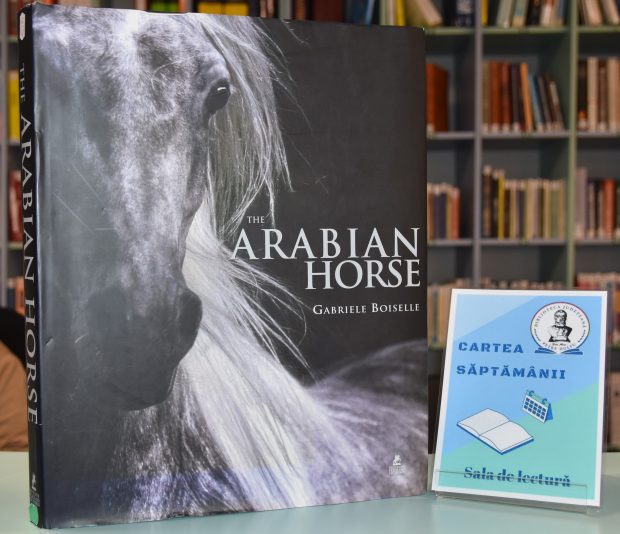 cartea-saptamanii-the-arabian-horse