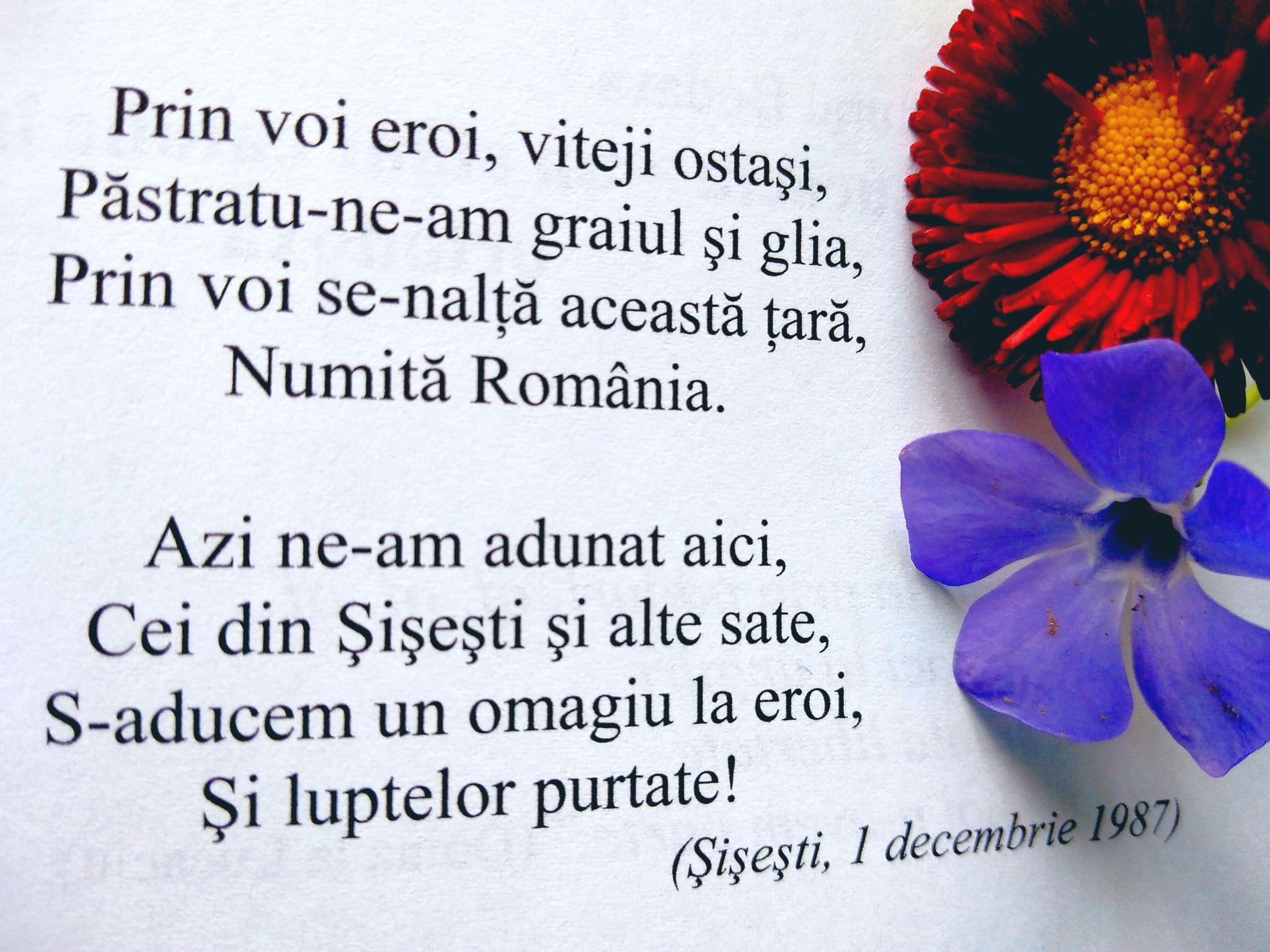 citatul-de-duminica-30-nov-2025