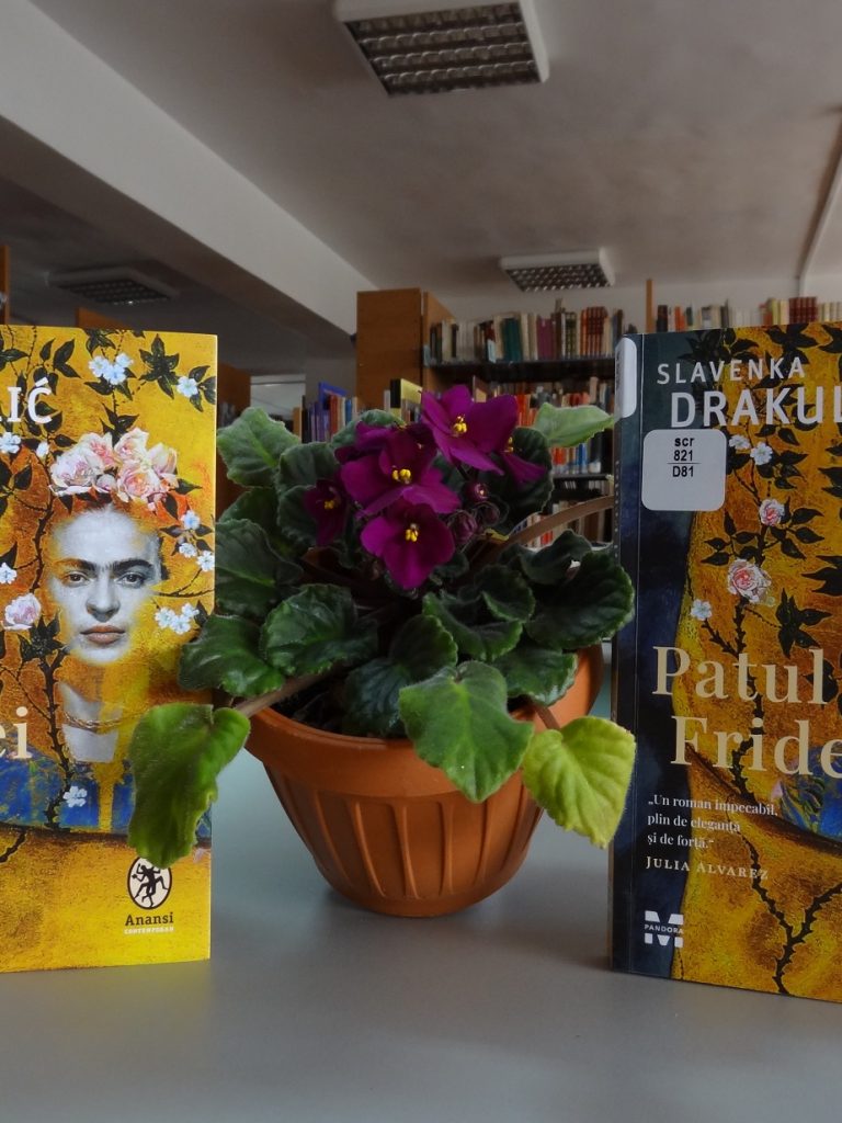 recomandare-multiculturalia-patul-fridei