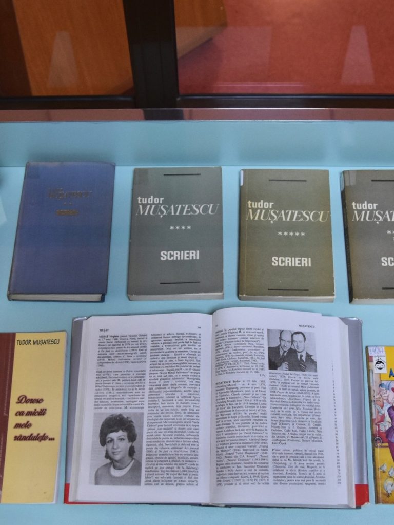 tudor-musatescu-vitrina-sala